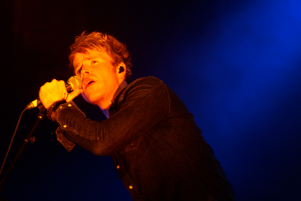 the wombats